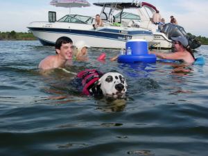 Where's my floating doggy bar with biscuits?